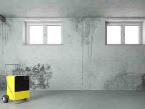 Basement waterproofing services in Toronto